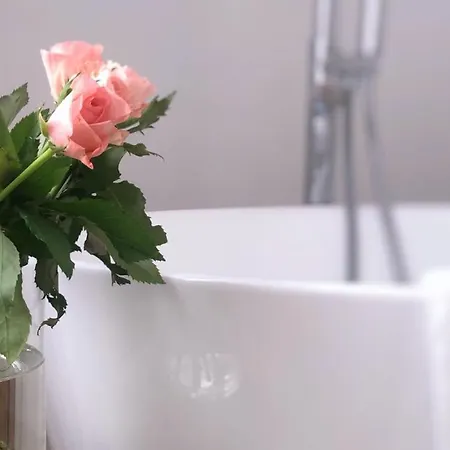 Historisches Amtshaus: Belvue