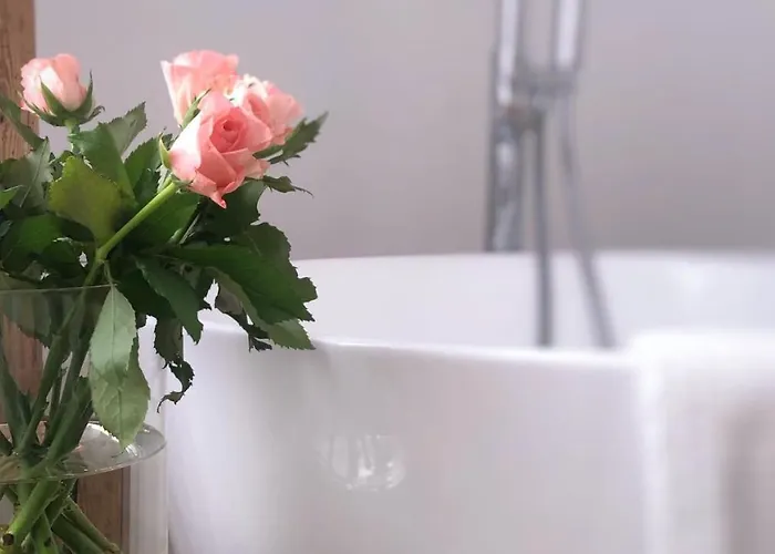 Historisches Amtshaus: Belvue